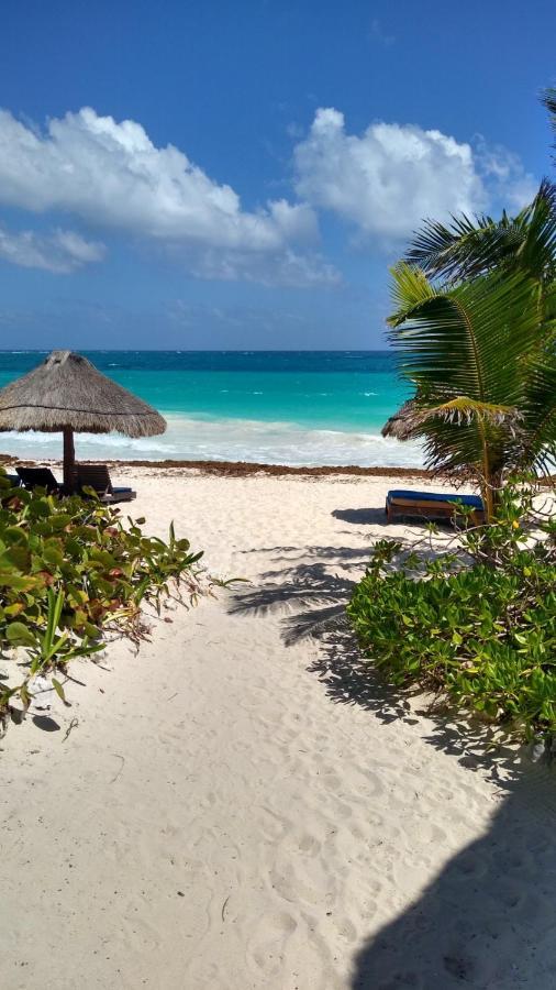 Отель Sol Caribe Пунта-Альен Экстерьер фото