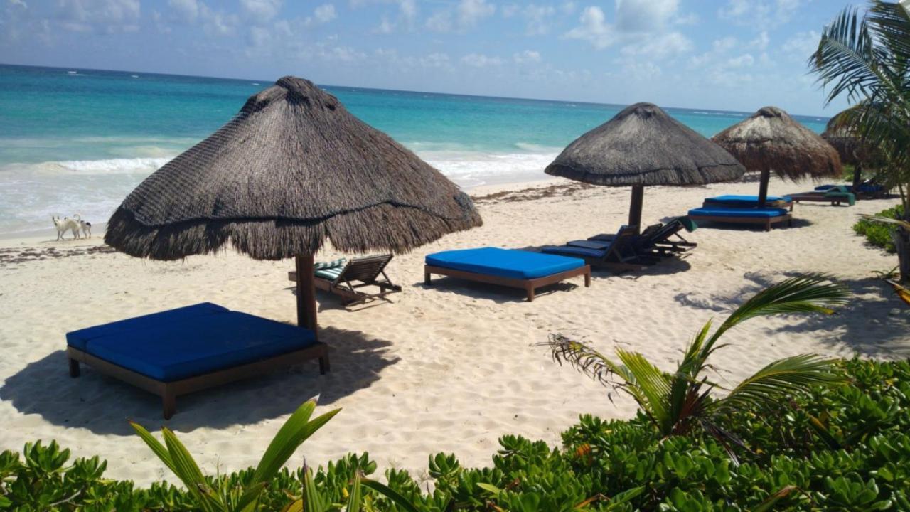 Отель Sol Caribe Пунта-Альен Экстерьер фото